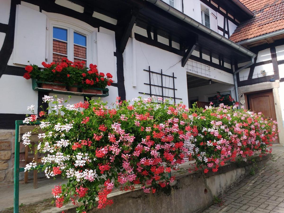 Gîte&Chambres d'hôtes Sabine Billmann Hunspach Exterior foto